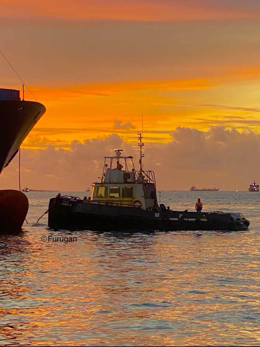 port_union's tweet photo. On this #MaritimeDay, we deeply appreciate our brave members who tirelessly work at sea, often without proper safety measures. Your courage and dedication do not go unnoticed.
Stay safe! 🌊⚓ 🇲🇻
#portworkers
#SafetyFirst
#mpwu
#unionmatter
@ITFglobalunion https://t.co/ANnKCUUB8f