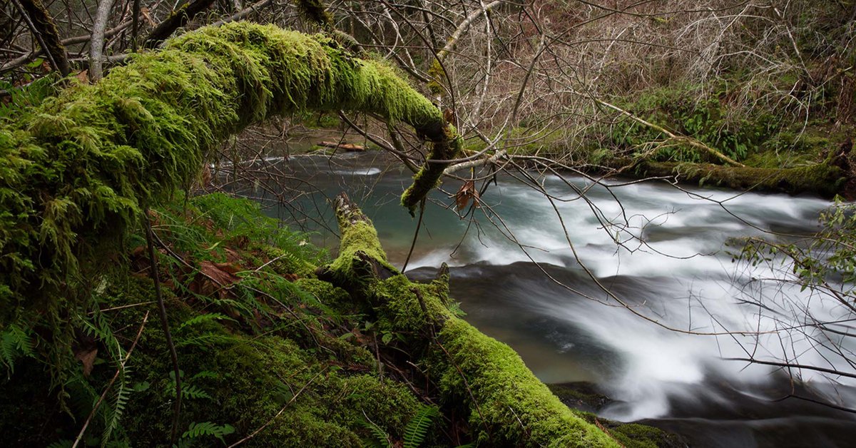 TroutUnlimited's tweet photo. This week, The White House Council on Environmental Quality highlighted "for focused attention" a group of 10 Transformational Fish Passage Projects nationwide, six of which are landscapes where Trout Unlimited is a leading partner. 

Read more: https://t.co/X7TUGP6xEy https://t.co/7pVJUKdg7T