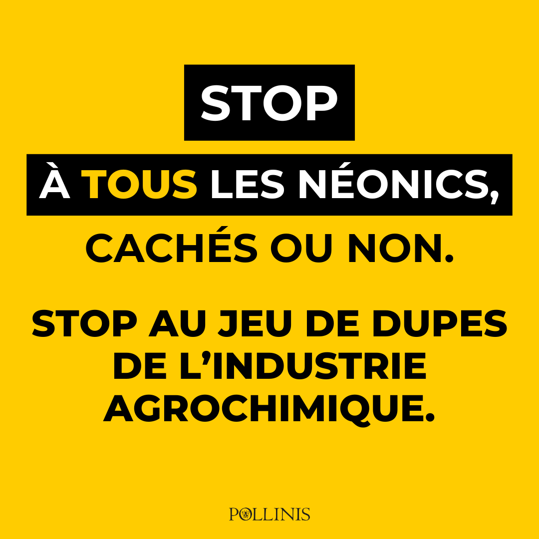 AssoPollinis's tweet photo. Stop à tous les néonics, cachés ou non !
Consulter l'étude : https://t.co/sZmDPHM7If
En savoir plus sur la longue bataille #StopNeonics de POLLINIS : https://t.co/ZSxihSzTkF