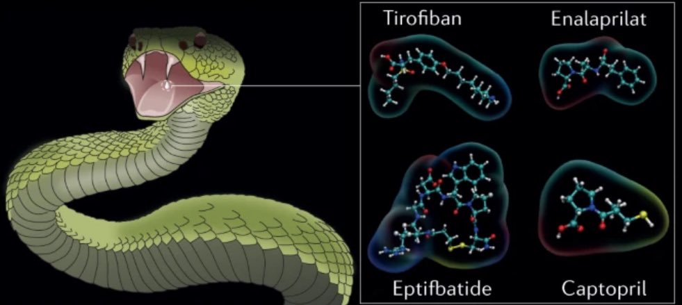 AlbertoCereda1's tweet photo. Viper Venom in Pills https://t.co/BdWSm0nZ4i