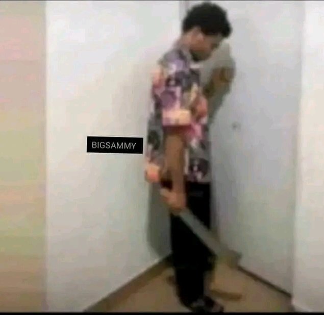 videodeity's tweet image. I wan go harm the star wey introduce me to #Hamster_Kombat 
#HMSTR