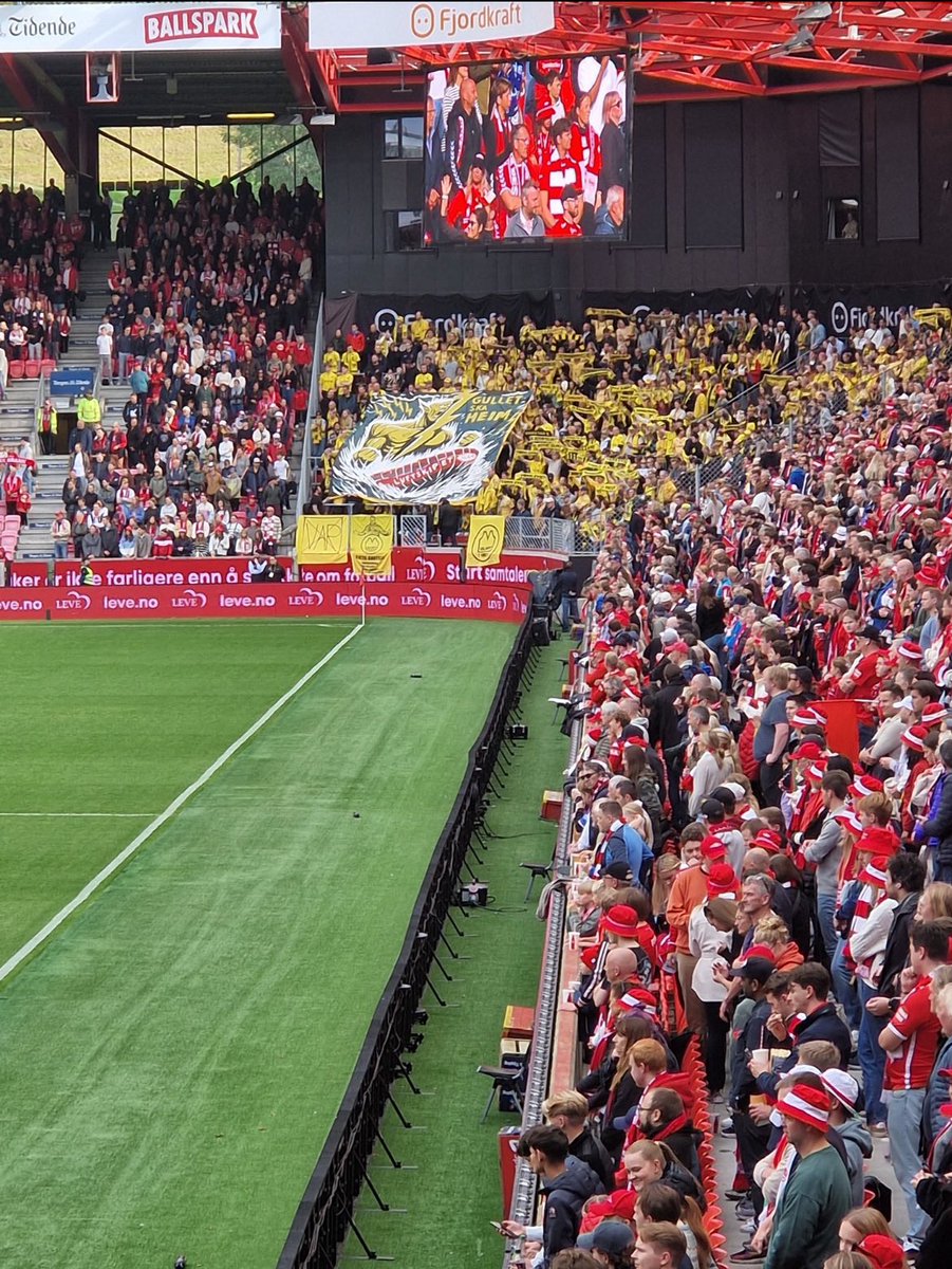 Football Norway tweet media