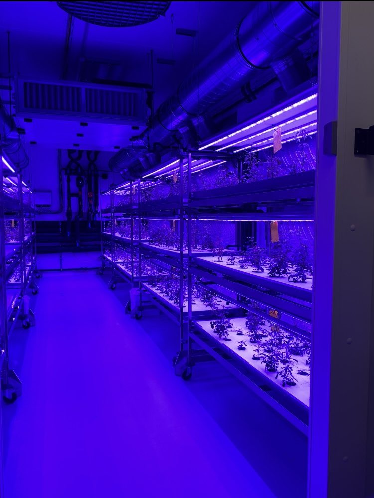 JacquesOberti's tweet photo. De retour ce matin à @orius_co, entreprise dont l'objectif est de produire des ingrédients botaniques de haute qualité et de révéler le potentiel des plantes par l'activation de voies métaboliques spécifiques 🌱

Ce fut l'occasion d'inaugurer le démonstrateur industriel, un projet innovant et inspirant, et de partager sur les projets futurs de l'entreprise.

Merci encore à l'équipe d'Orius pour leur accueil et pour leur participation au rayonnement de notre territoire.