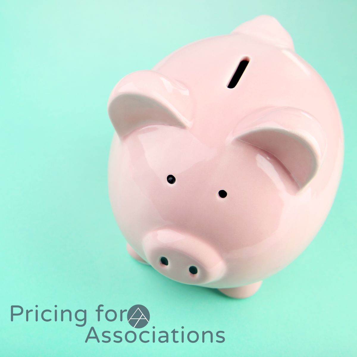 📈 Enhance your #pricing strategy! Discover insights in our partner's blog, Pricing for Associations, on "Pricing and Value - Metrics and KPIs." Leverage data to boost #revenue and #member satisfaction! 🌟 🔗 Read here: bit.ly/3Mp9T86 #PricingStrategy #DataDriven #KPIs