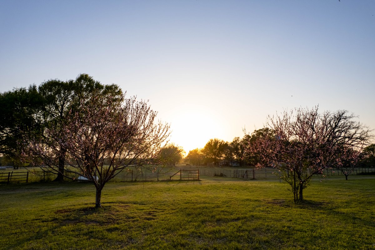 We’re proud to share that Sellmark Ranch has earned the Texas by Nature Certification! This recognition highlights our dedication to restoring and preserving the property through sustainable land management and wildlife conservation. Seeing the land flourish as we bring it back