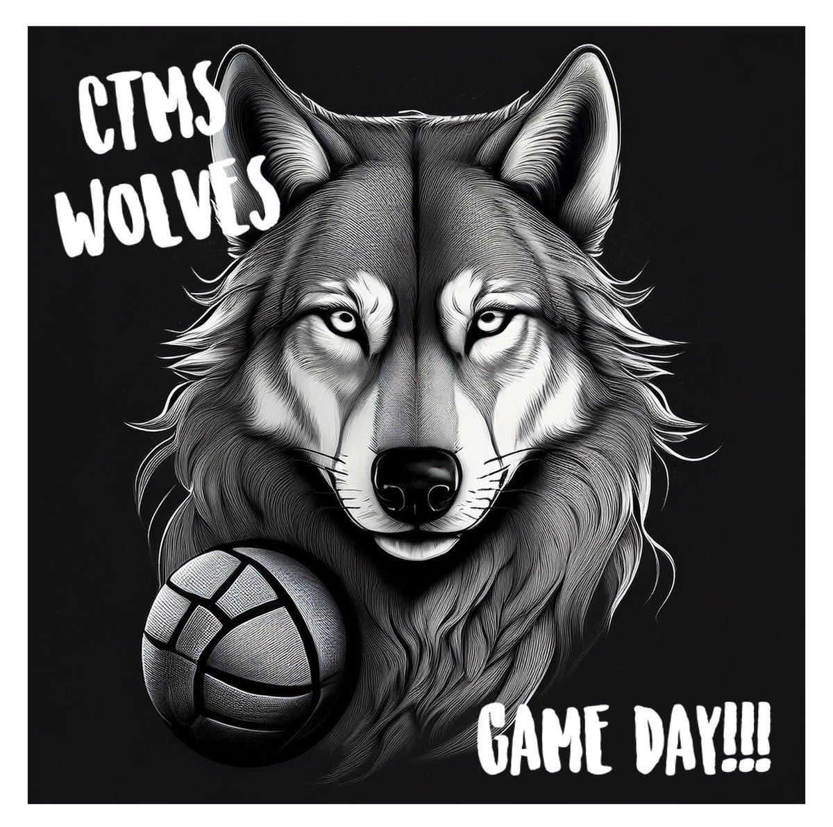 LET’S GO ladies!!! <a href="/CTMSWolvesGirls/">Wolves Girls’ Athletics</a>