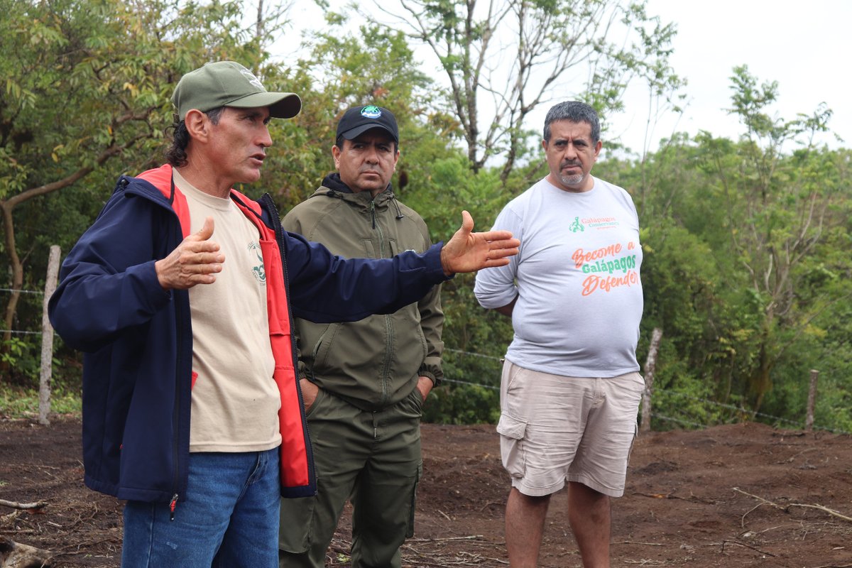 Parque Galápagos tweet media