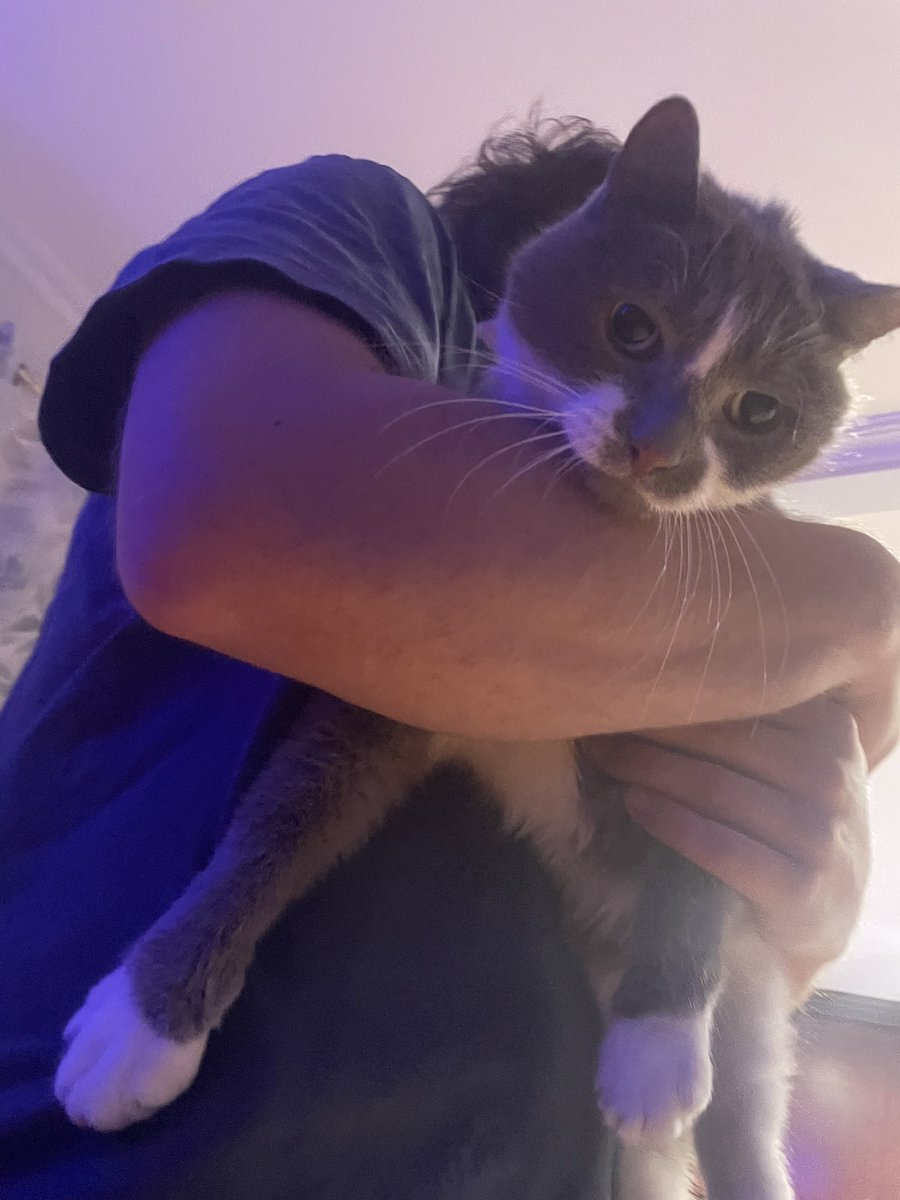 stinkyboyver's tweet photo. AAAAAAAAAAAAAAA https://t.co/xPhRUHVrFH
