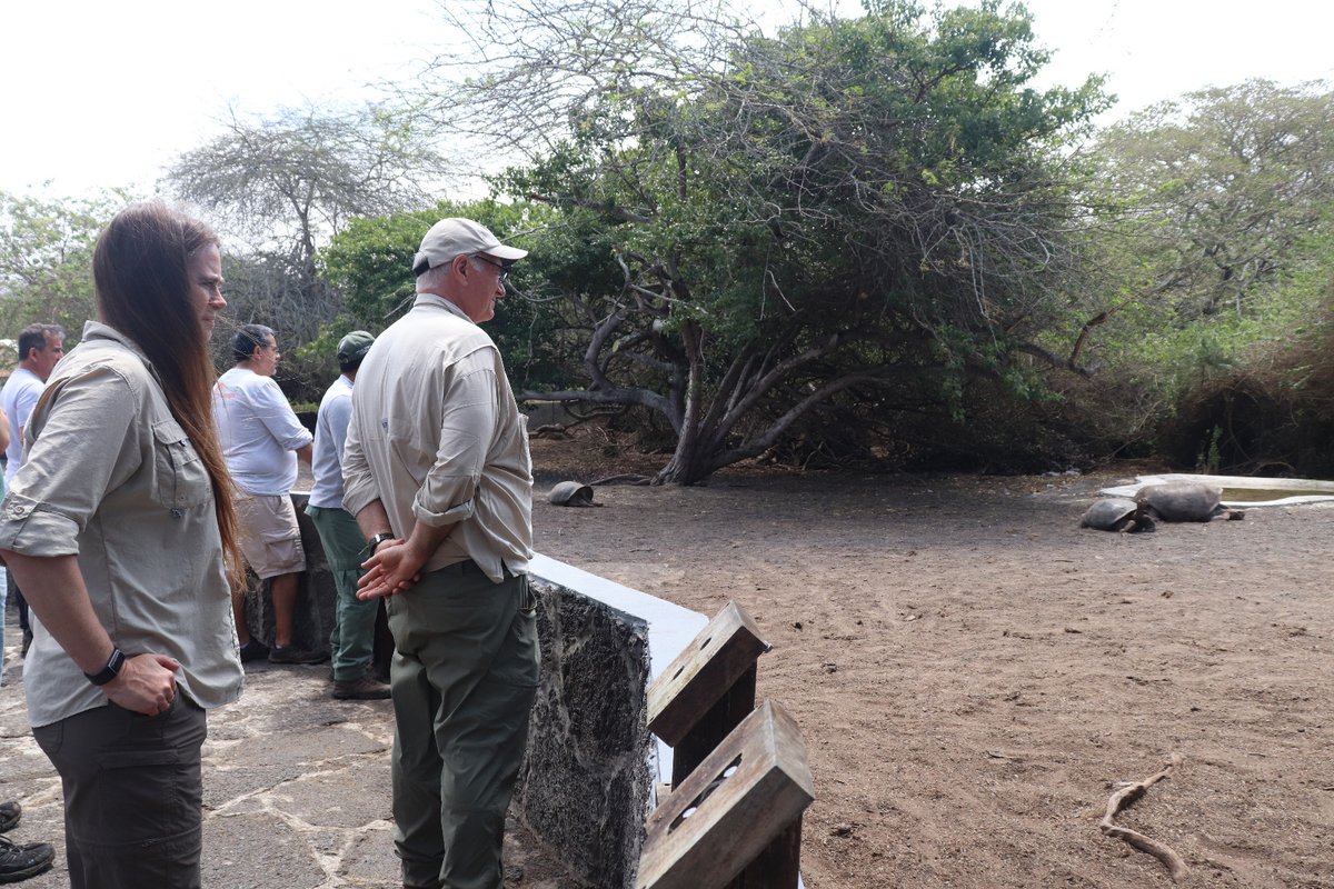 Parque Galápagos (@parquegalapagos) on Twitter photo #Galápagos | <a href="/parquegalapagos/">Parque Galápagos</a> y <a href="/savegalapagos/">Galápagos Conservancy</a>, realizaron un recorrido para verificar los avances de los proyectos que se ejecutan en #Isabela con fondos (GC). La jornada comenzó con una reunión para mostrar los resultados, planificar actividades y analizar las objetivos a #Galápagos | <a href="/parquegalapagos/">Parque Galápagos</a> y <a href="/savegalapagos/">Galápagos Conservancy</a>, realizaron un recorrido para verificar los avances de los proyectos que se ejecutan en #Isabela con fondos (GC). La jornada comenzó con una reunión para mostrar los resultados, planificar actividades y analizar las objetivos a