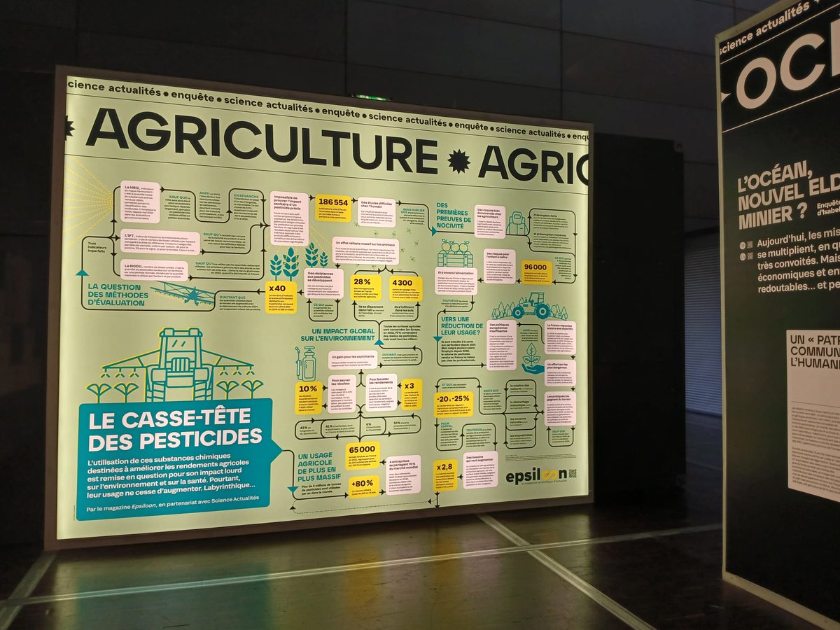 Lea_Des's tweet image. Un nouveau panneau à découvrir à la @citedessciences: le casse-tête des #pesticides . Une version gigantesque 🤩 de la rubrique « Labyrinthe » de @Epsiloon_mag dans laquelle on cherche à faire le tour (et des détours) de sujets débattus, publications scientifiques à l&apos;appui 🧐.