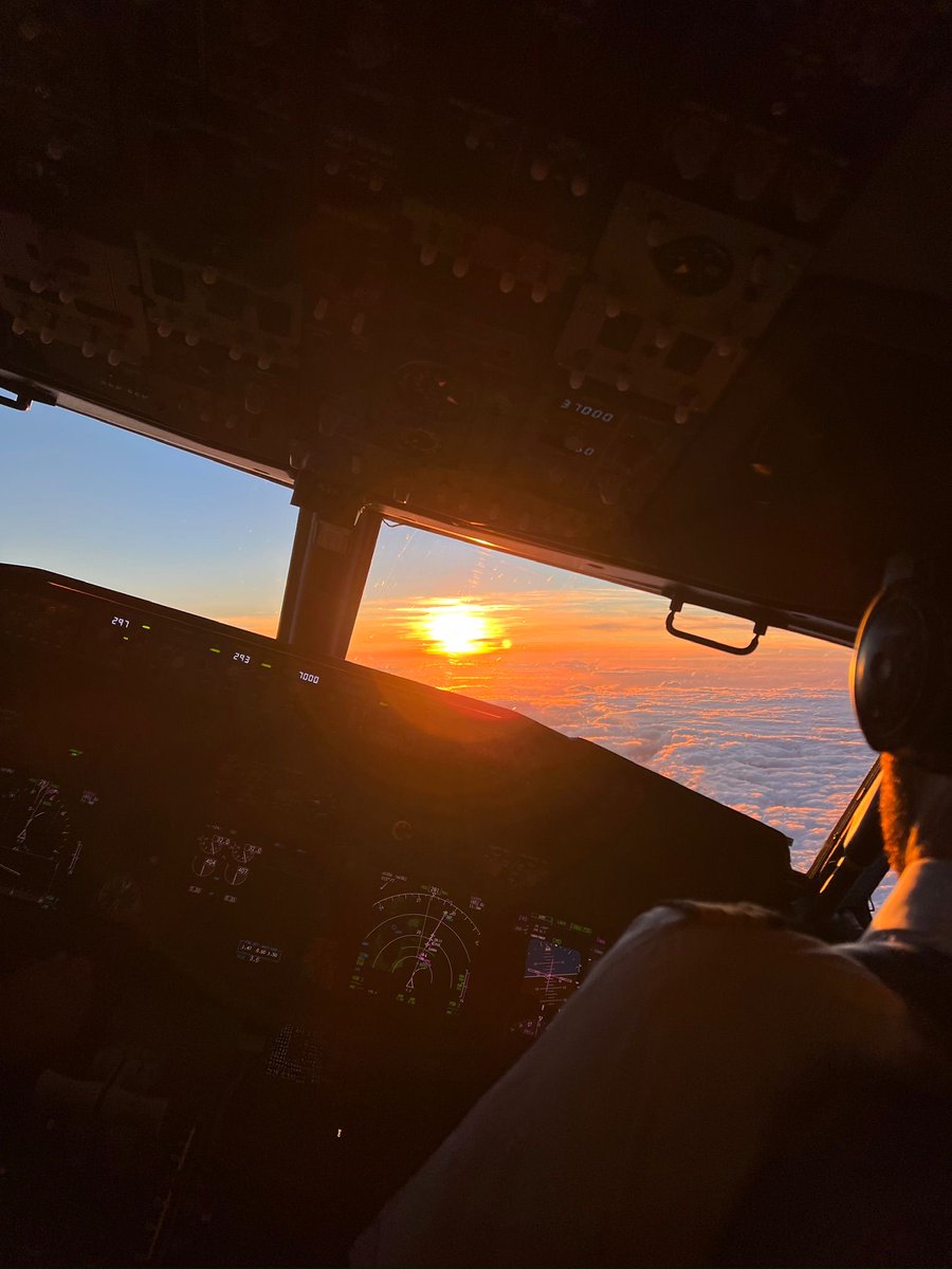 Transavia tweet media