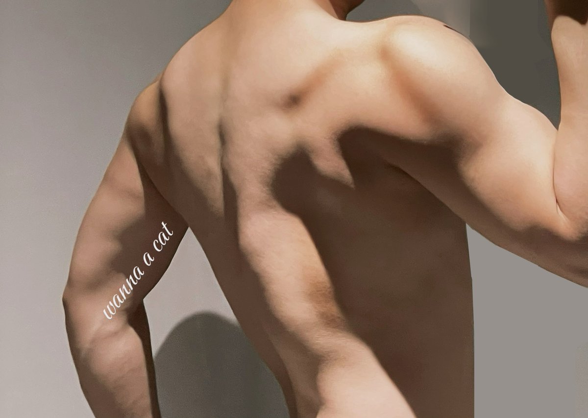 wanna a cat tweet media