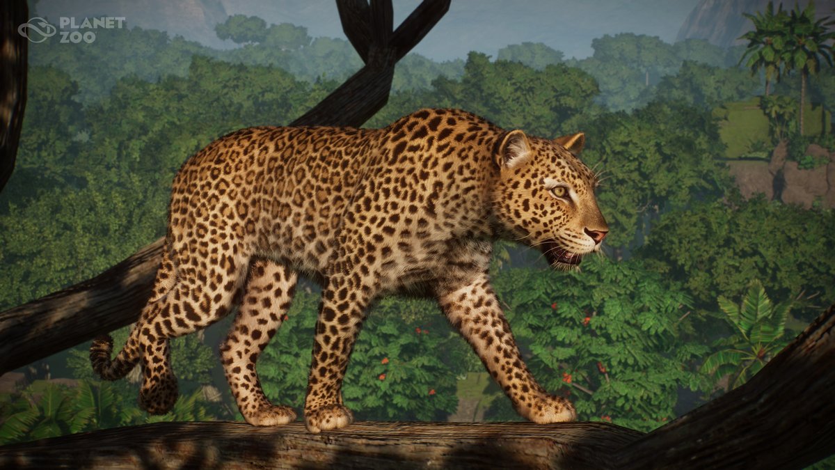 Planet Zoo tweet media