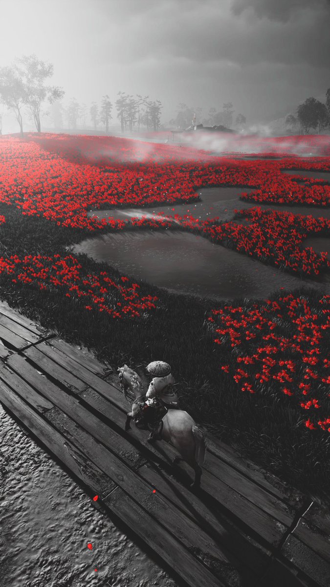 Karla M. Redfield tweet media