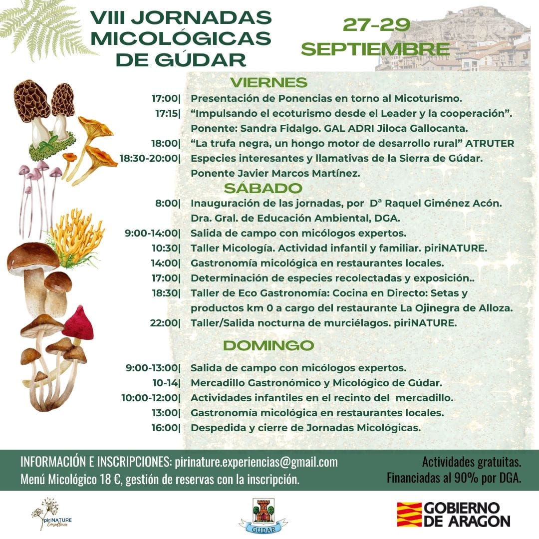 🍄‍🟫Este sábado, 18:30 en VIII Jornadas Micológicas de Gúdar: Taller de eco-gastronomía de la mano de <a href="/laojinegra/">La Ojinegra</a>. Cocina en directo con setas de temporada y productos Km 0 🌿🍄, mientras hablamos sobre despilfarro alimentario y la importancia de consumir local 🌍. <a href="/CCyEAAragon/">Cambio Climático Aragón</a>
