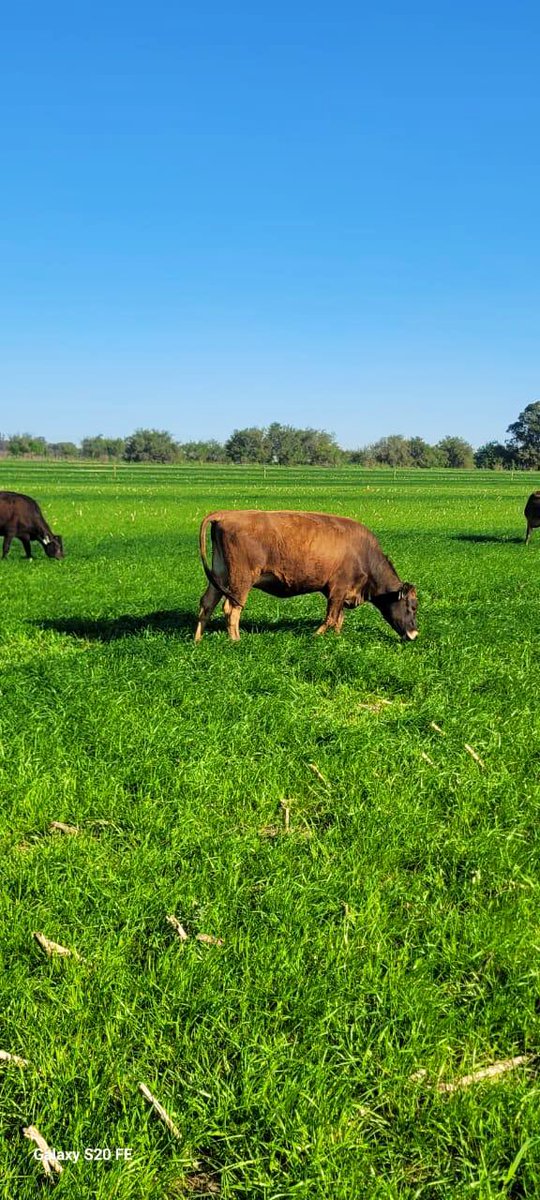 Nutrefeed S.A. tweet media