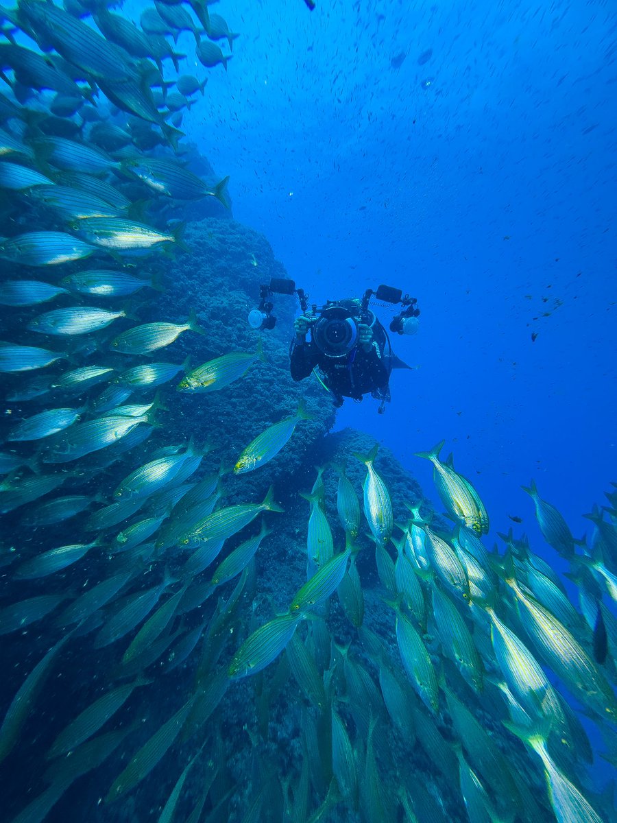 #Scubadiving with <a href="/scubaibiza/">SCUBA IBIZA DIVING</a> in #Ibiza. This island has an outstanding #underwater world! — #shotoniPhone