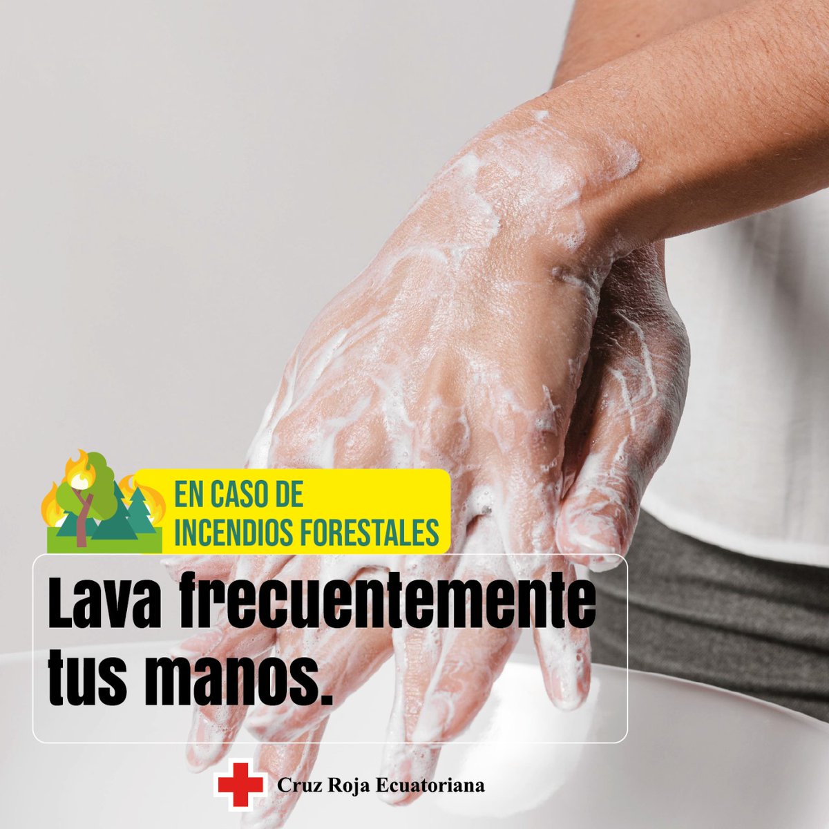 roquesoriaMD's tweet photo. Con los incendios forestales que están impactando a #Quito, en @cruzrojaecuador queremos recordarte la importancia de tomar medidas preventivas.

¡Protejamos juntos nuestro bienestar y nuestro entorno! https://t.co/BOtVRTyS7k