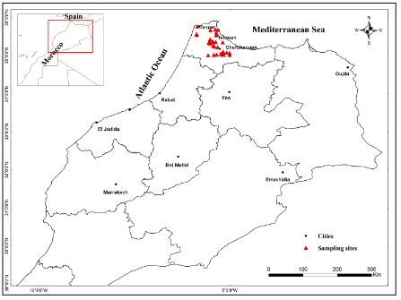The first records of eleven species of the genus Megaselia Rondani, 1856 from Morocco (Diptera, Phoridae) 

doi.org/10.15560/20.2.… 

#Megadiversegenus #newrecords #scuttleﬂy #checklist #checklistjournal #pensoftpublishers