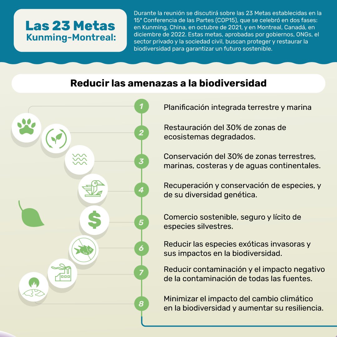 Agrobio_andina's tweet photo. 🌍 Durante la #COP16 se discutirán las 23 metas clave establecidas en la pasada COP para proteger la biodiversidad. 🌿 Esta hoja de ruta global es el camino estratégico para trabajar en cuidar nuestro planeta.

📢 ¿Qué será lo más importante para lograr estos objetivos? https://t.co/Fq6ZUpq5v4