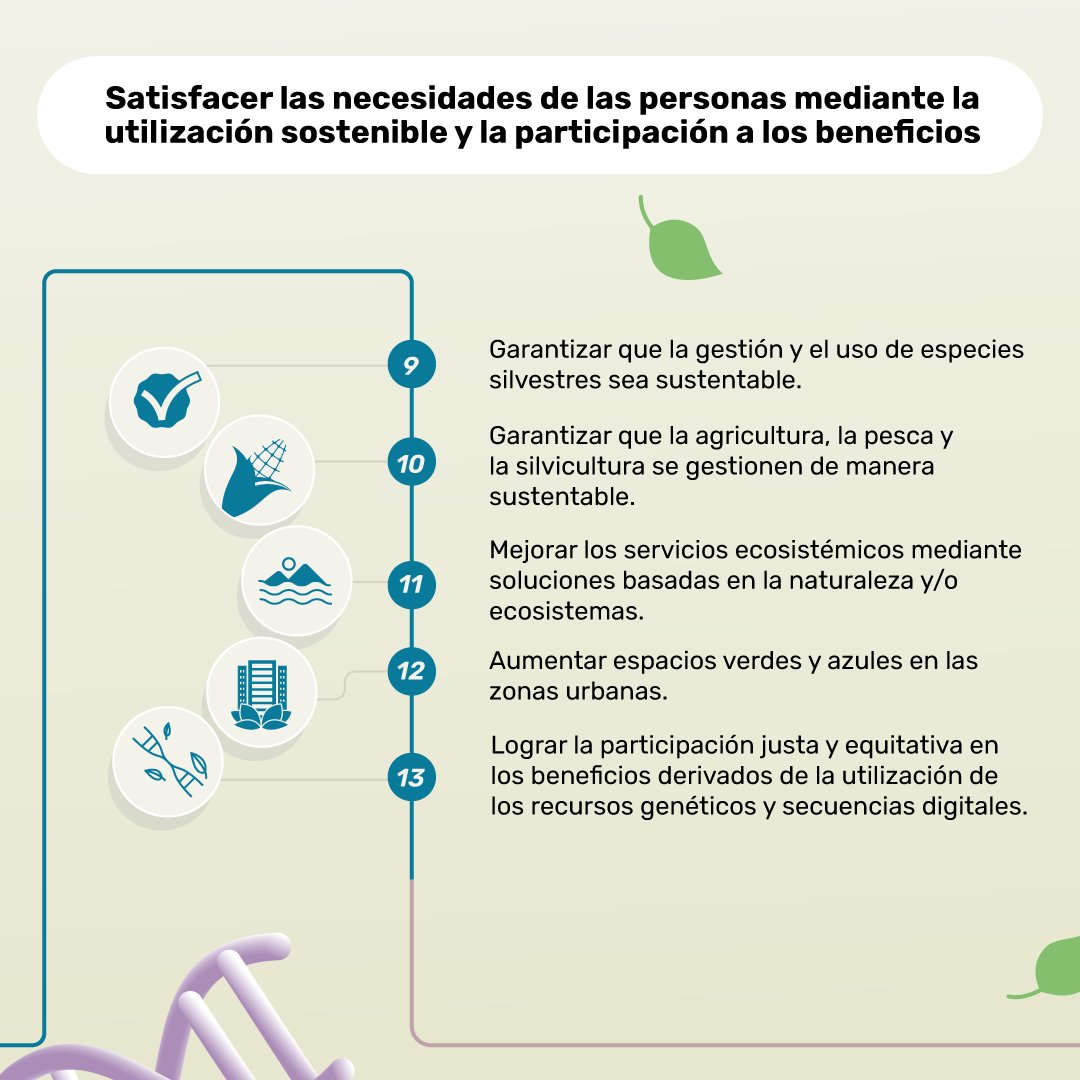 Agrobio_andina's tweet photo. 🌍 Durante la #COP16 se discutirán las 23 metas clave establecidas en la pasada COP para proteger la biodiversidad. 🌿 Esta hoja de ruta global es el camino estratégico para trabajar en cuidar nuestro planeta.

📢 ¿Qué será lo más importante para lograr estos objetivos? https://t.co/Fq6ZUpq5v4