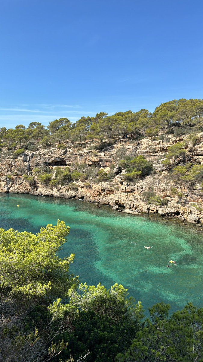 Scipionista's tweet photo. Le territoire du Roi Nadal

Non vraiment les Baléares c’est TRÈS FORT https://t.co/74DAG6GVTI