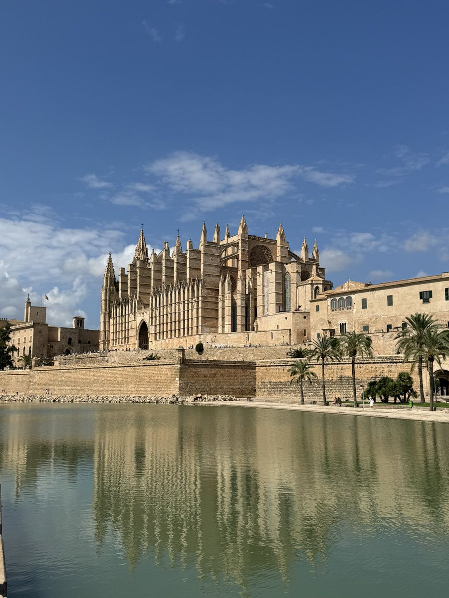 Scipionista's tweet photo. Le territoire du Roi Nadal

Non vraiment les Baléares c’est TRÈS FORT https://t.co/74DAG6GVTI