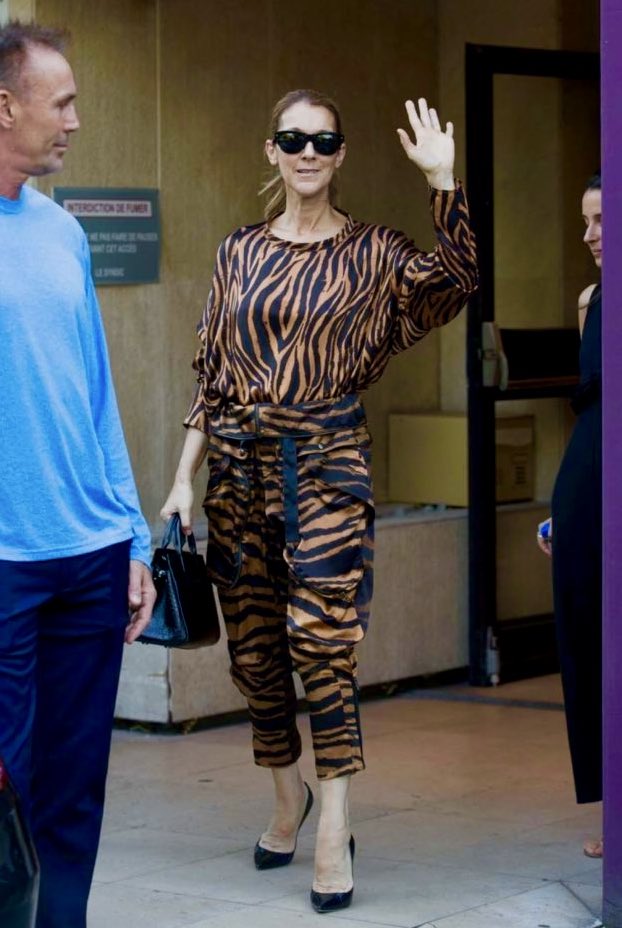 PUEDO SER CÉLINE DION Y UN TÍGUERE
PUEDO SER CÉLINE DION Y UN TÍGUERE
