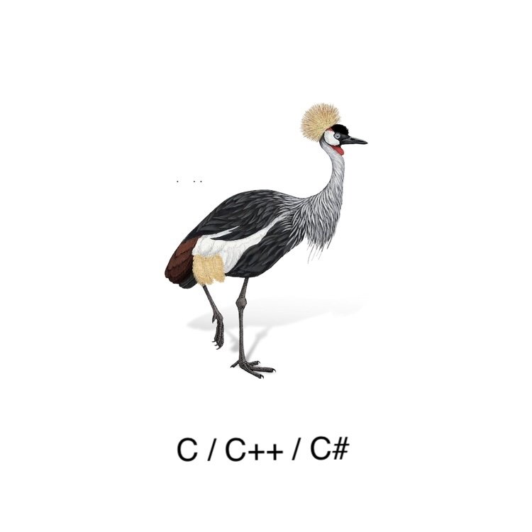 shroffpub's tweet image. C/C++/C# collection from @OReillyMedia  on Shroff Publisher&apos;s Amazon Brand Store
Order now tinyurl.com/Shrofforeillyc…
#cpointers #cpluspluscode
#csharp #cprogramming #oops #oreilly #shroffpublishers