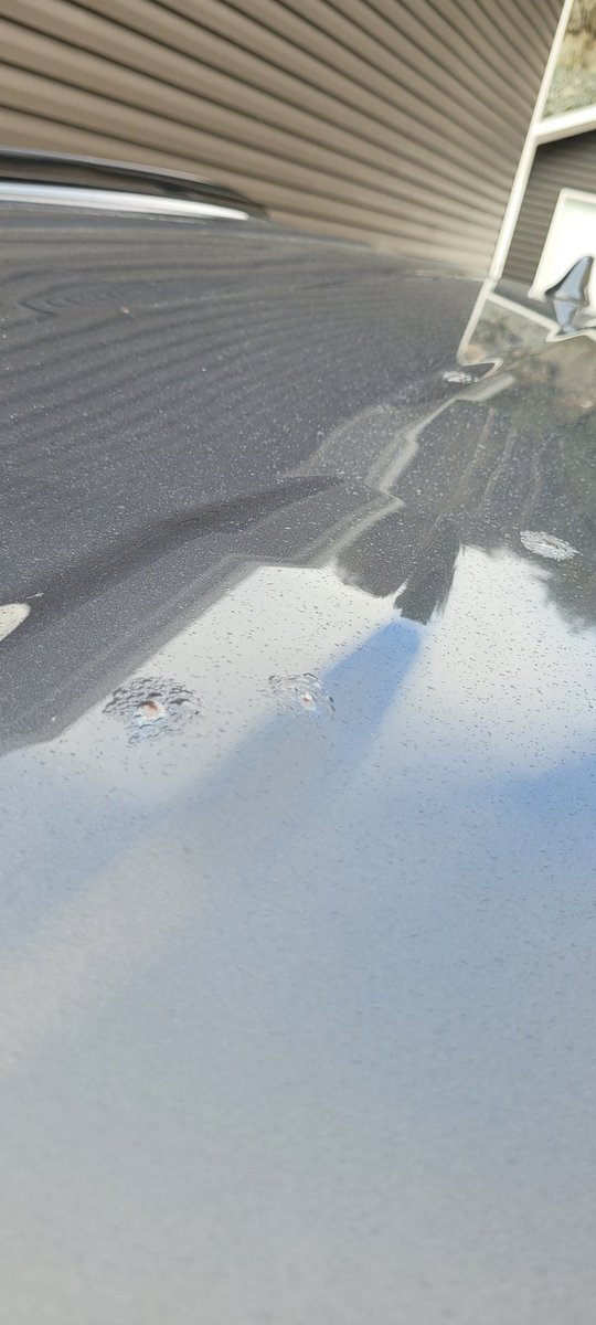 cordanj's tweet photo. We bought a Rav4 new in late 2019. I started noticing these spots forming on the roof nearly 3 years ago. By the time we reported to @ToyotaCanada, we just missed the paint warranty. 10-12 spots like this on the ROOF of an SUV!! Zero help offered, awful customer service https://t.co/c6Rh8GSwo1