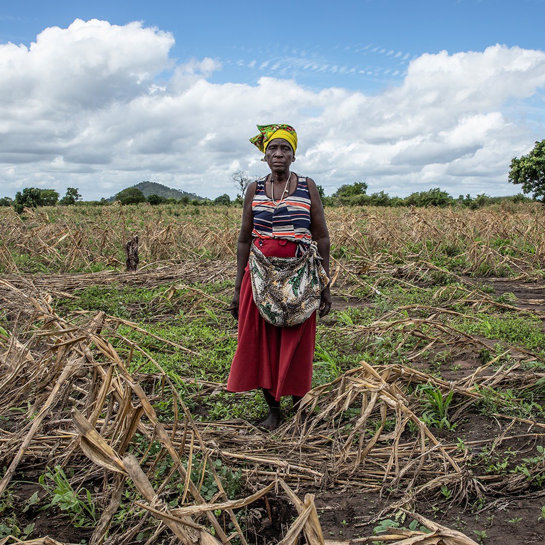 Heartbreaking that my first post as Regional Director for <a href="/WFP/">World Food Programme</a> Southern #Africa is about the devastation of #ElNino-induced drought. 

Millions face hunger, and the need for global solidarity has never been more urgent. 

🌍🤝 Let’s #ActNow