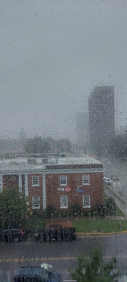 Rebecca P 🔆 tweet media