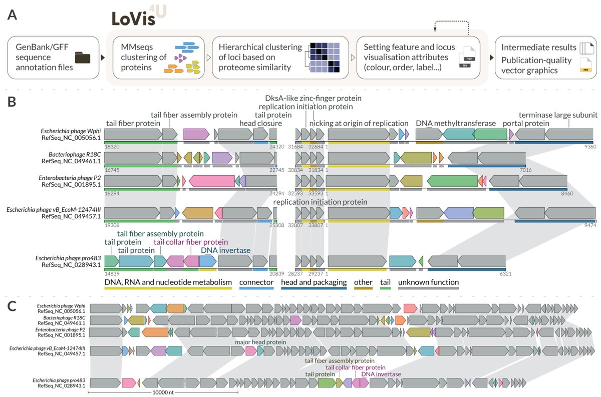 antisense. tweet media