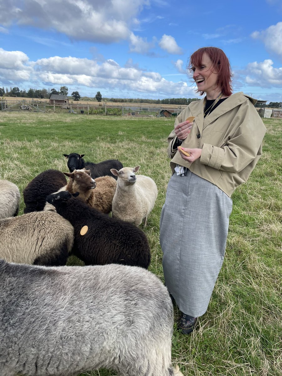 Lizzy Toon tweet media