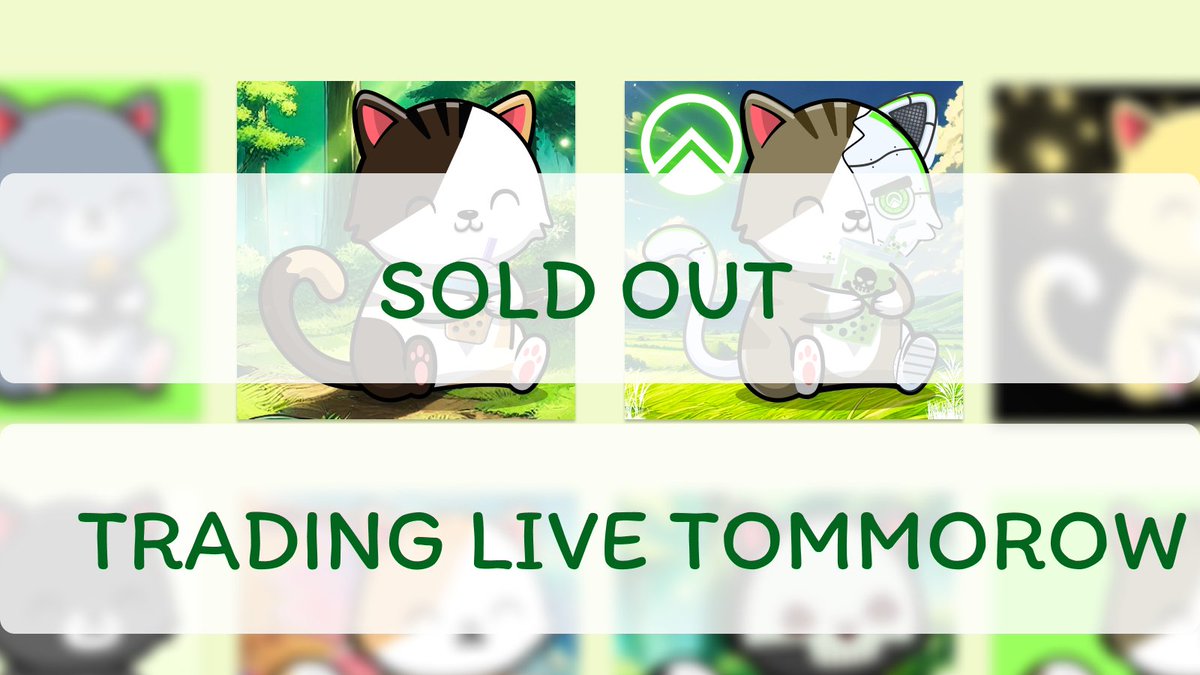 Zircuit Catto tweet media