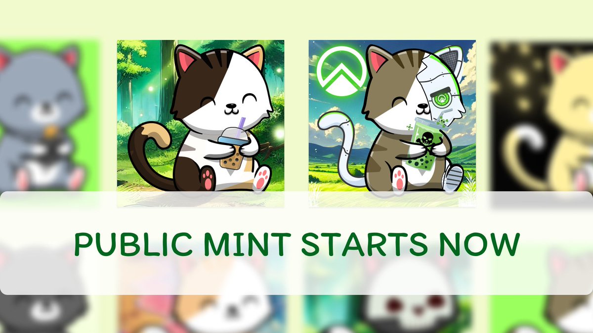 Zircuit Catto tweet media