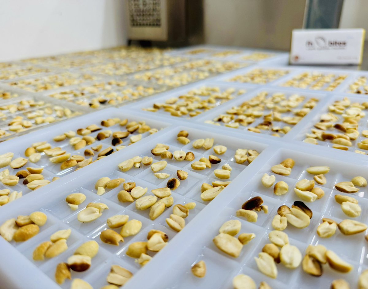 fhbites's tweet photo. Almost ready! 
Milk and Nuts #gambianchocolate from #fhbites https://t.co/lJDhLjF4cw