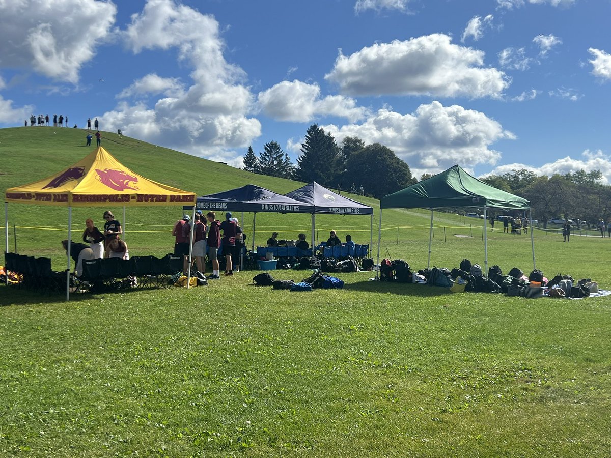 Sabina McLarty tweet media