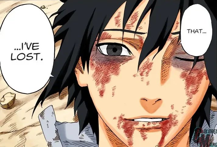 Naruto Ending was truly Special man!!