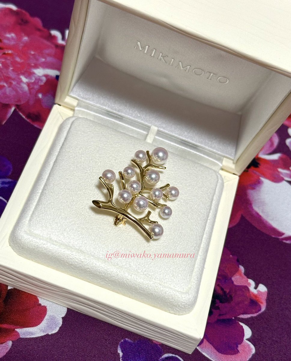 駆け込ミキモトは、ウィッシュリストに入っていた幸福の木ブローチを
