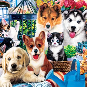 MasterPiecesToy's tweet photo. Which one of these adorable babies would you choose to take home? 😍 

#masterpiecepuzzles #puzzlegram #puzzlecommunity #jigsawpuzzles #puzzle #pets https://t.co/IHhSlpN06q