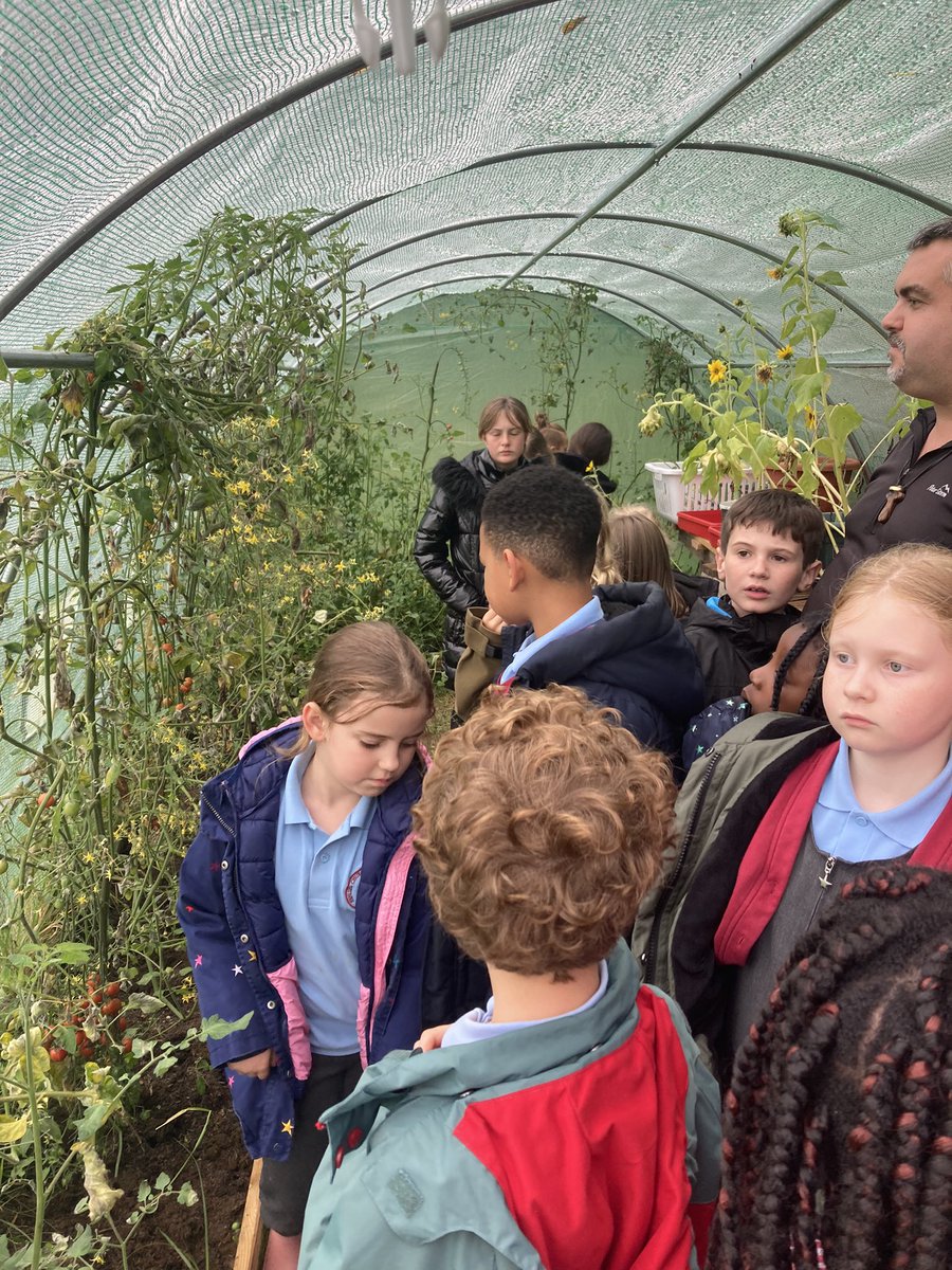 MrsMintoHCIW's tweet photo. Our gardening club enjoyed seeing how much everything had grown in our polytunnel this afternoon. Seed planting next week. 🌱🌱@HenllysCIW https://t.co/g9SdQB1kos