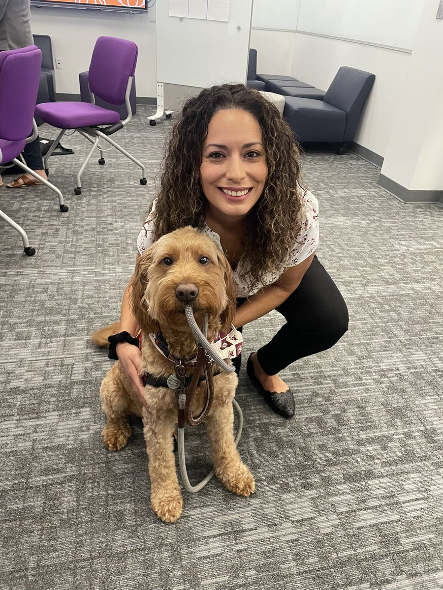 George the Comfort Dog tweet media