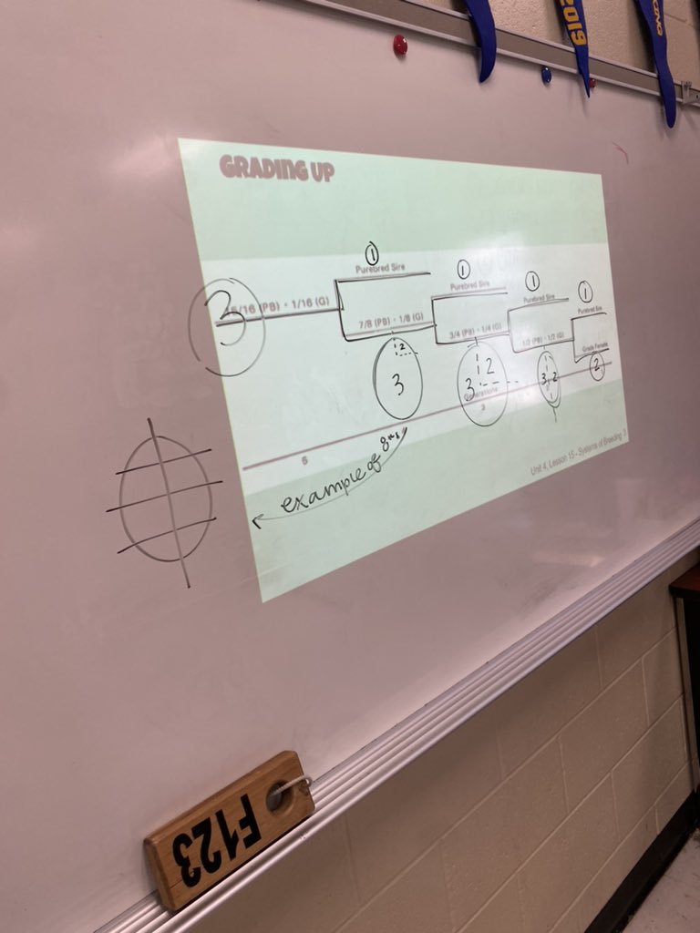 Fractions today in Advanced Animal Science!