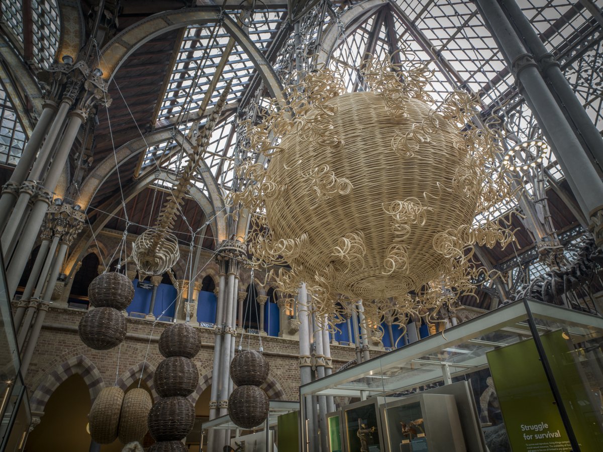 NEW: A major art installation featuring dramatically upscaled bacteria, viruses and a parasite has launched at Oxford University’s Museum of Natural History to celebrate 30 years of vaccine development at the <a href="/OxfordVacGroup/">Oxford Vaccine Group</a> - tackling some of the world’s most deadly diseases 🦠