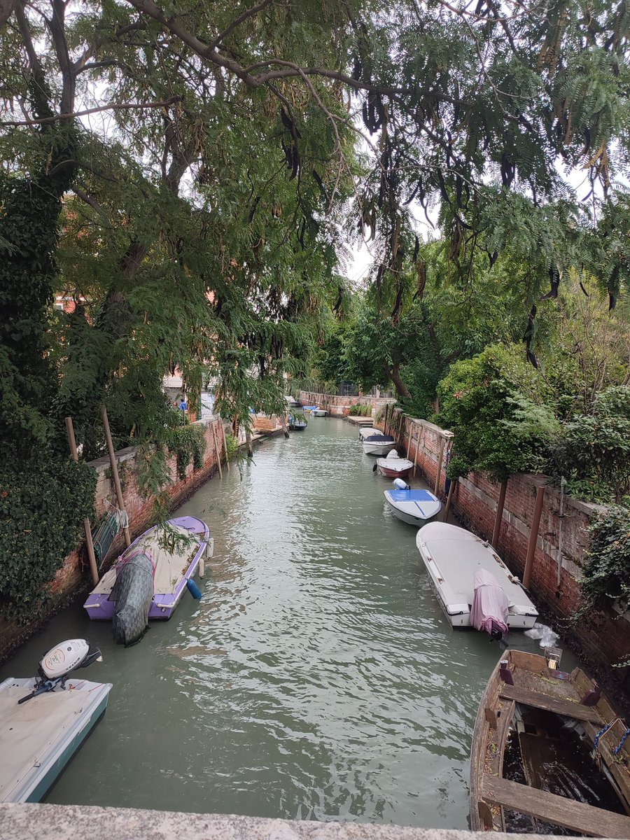 Had an amazing time at the Learning &amp; Memory Neuroscience School of Advanced Studies in Venice!🧠Learned from top researchers like Dr. Tonegawa, and explored topics like engram and optogenetic. Grateful for the knowledge gained and the amazing scientist I connected with!🙌