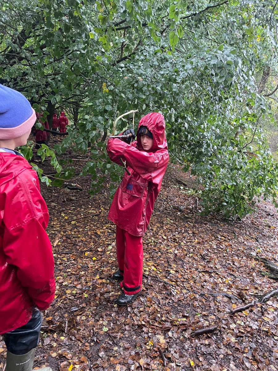 Walkington School (@walkingtonsch) on Twitter photo 