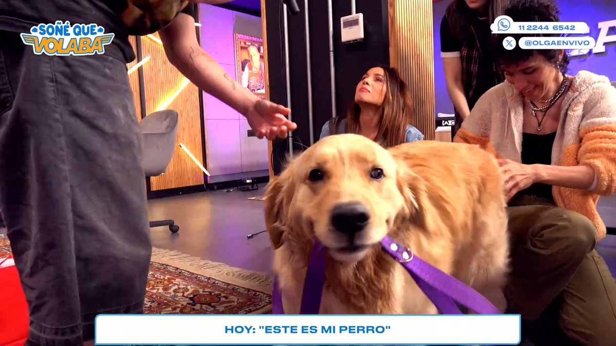 olgaenvivo's tweet image. Sí, este soy yo y te preguntarás cómo llegué aquí. Bueno, esta es mi historia.