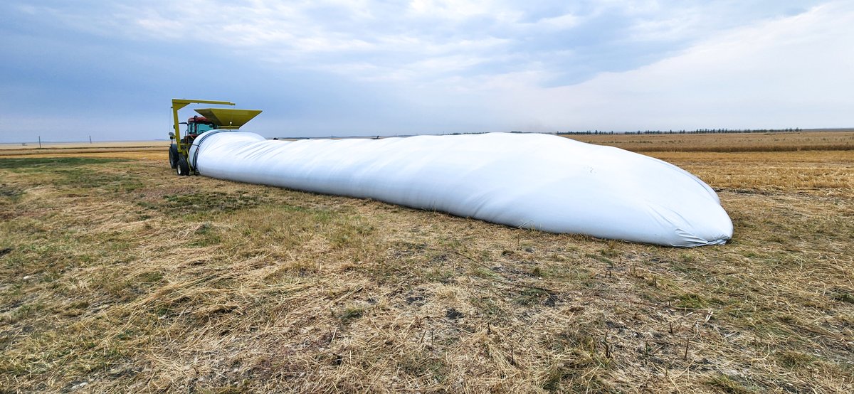 RENN's durable, high performance Grain Baggers optimize operator efficiency by providing smooth, fast loading of grain bags

Producers  store millions of tonnes of grain every year with our systems – maximizing productivity by storing more grain per bag and reducing set up time