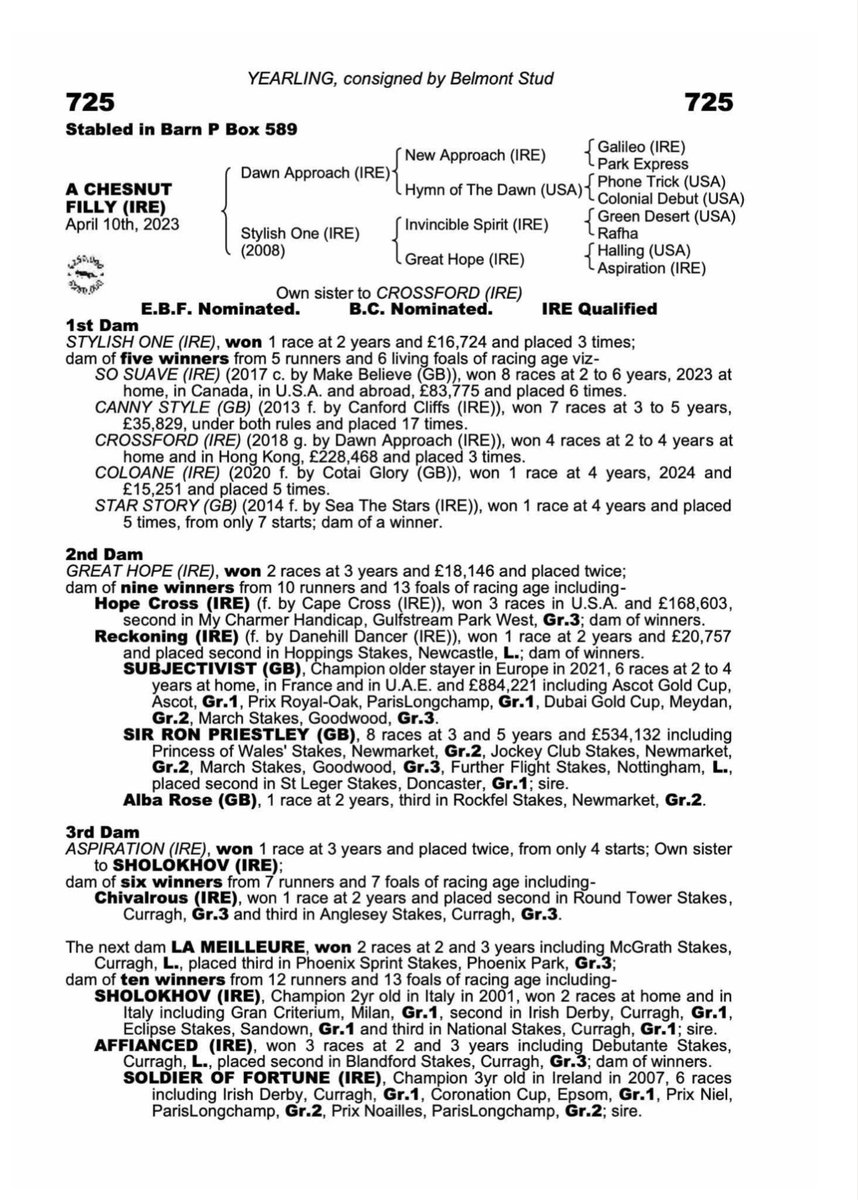 KingsBloodstock's tweet photo. 3️⃣ Third purchase from @Tattersalls_ie with a flashy chestnut by multiple Group winner Dawn Approach. Out of an Invincible Spirit mare who doesn’t miss with 5 winners from 5 runners and her full brother won £228k in Hong Kong

🐎She is available to buy from @GemmaTutty https://t.co/Yl9bEM9tKg